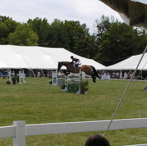 horse show tents
